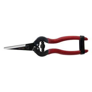 Berger - Druivenschaar lichte uitvoering