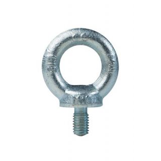 DX - Ringschroef DIN 580 M12 materiaal C15E verzinkt