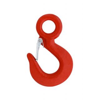 DX - Lasthaak met oog/klep 2000kg