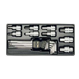 Elora - MS-13L - Lege MS-13/14 module.