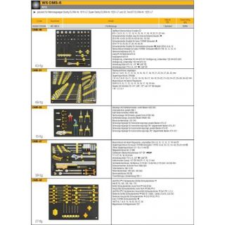 Elora - WS OMS-6 - Gereedschapset AUTOMOTIVE, 176-dlg