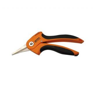 Padre - Rozenschaar, 230mm / 50mm