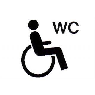 Pickup - Pictogram 100x100 P622 Rolstoel.