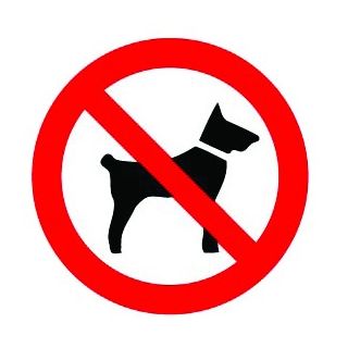 Pickup - Verboden voor honden 300mm.