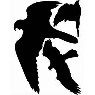 Pickup - Vogelsilhouetten Pickup - ZWART.