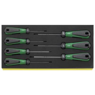 Stahlwille - Schroevendraaierset Torx in TCS module