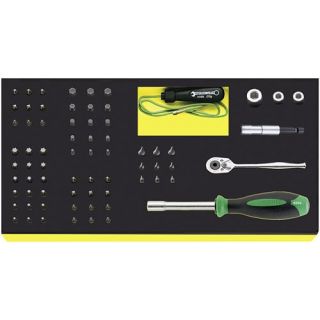 Stahlwille - 1/4" Bitset in TCS module