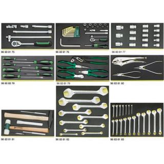 Stahlwille - Gereedschapsset in TCS-inleg 98-delig