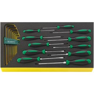Stahlwille - Schroevendraaier en stiftsleutelset in TCS