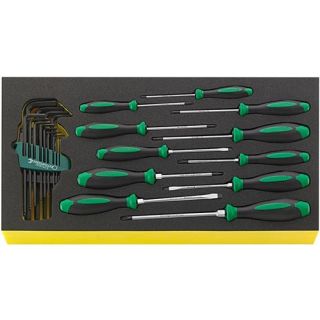 Stahlwille - Schroevendraaierset 24-delig in TCS