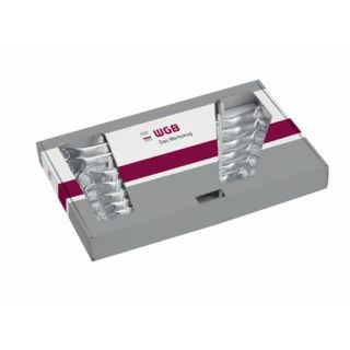 WGB - Ringsleutelset in doos, doorgezette ring, 6-delig