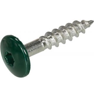 HPL schroeven RVS-A2 TX-20, mosgroen RAL6005 4.8x25mm