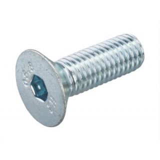 Binnenzeskantbout VZ 8.8 IB-2.5 DIN7991 M4x10mm