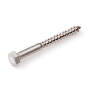 Houtdraadbout RVS-A2 SW-10 DIN571 6x30mm