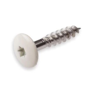 Kleurkopschroeven RVS-A2 beige RAL1013 4.8x25mm