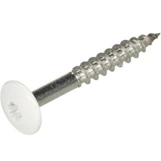 Kleurkopschroeven RVS-A2 wit RAL9010 4.8x25mm