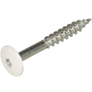 Kleurkopschroeven RVS-A2 crémewit RAL9001 4.8x25mm