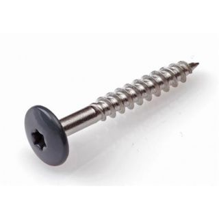 Kleurkopschroeven RVS-A2 antraciet RAL7016 4.8x38mm