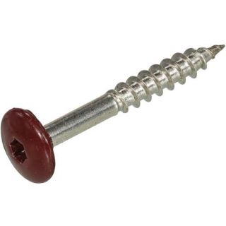 Kleurkopschroeven RVS-A2 wijnrood RAL3005 4.8x38mm