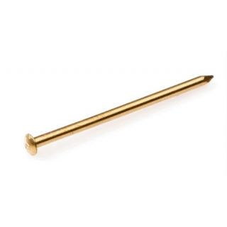 Draadnagel messing bombekop 2.4x50mm