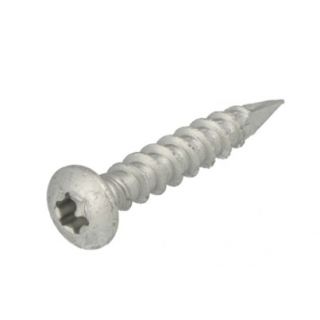 Dynaplus paalhouderschroeven AR-SILVER TX-40, 10.0x50mm