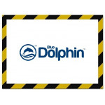 Blue Dolphin