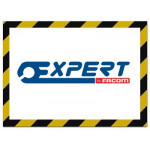 Expert