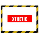 Xthetic