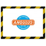 Angulus